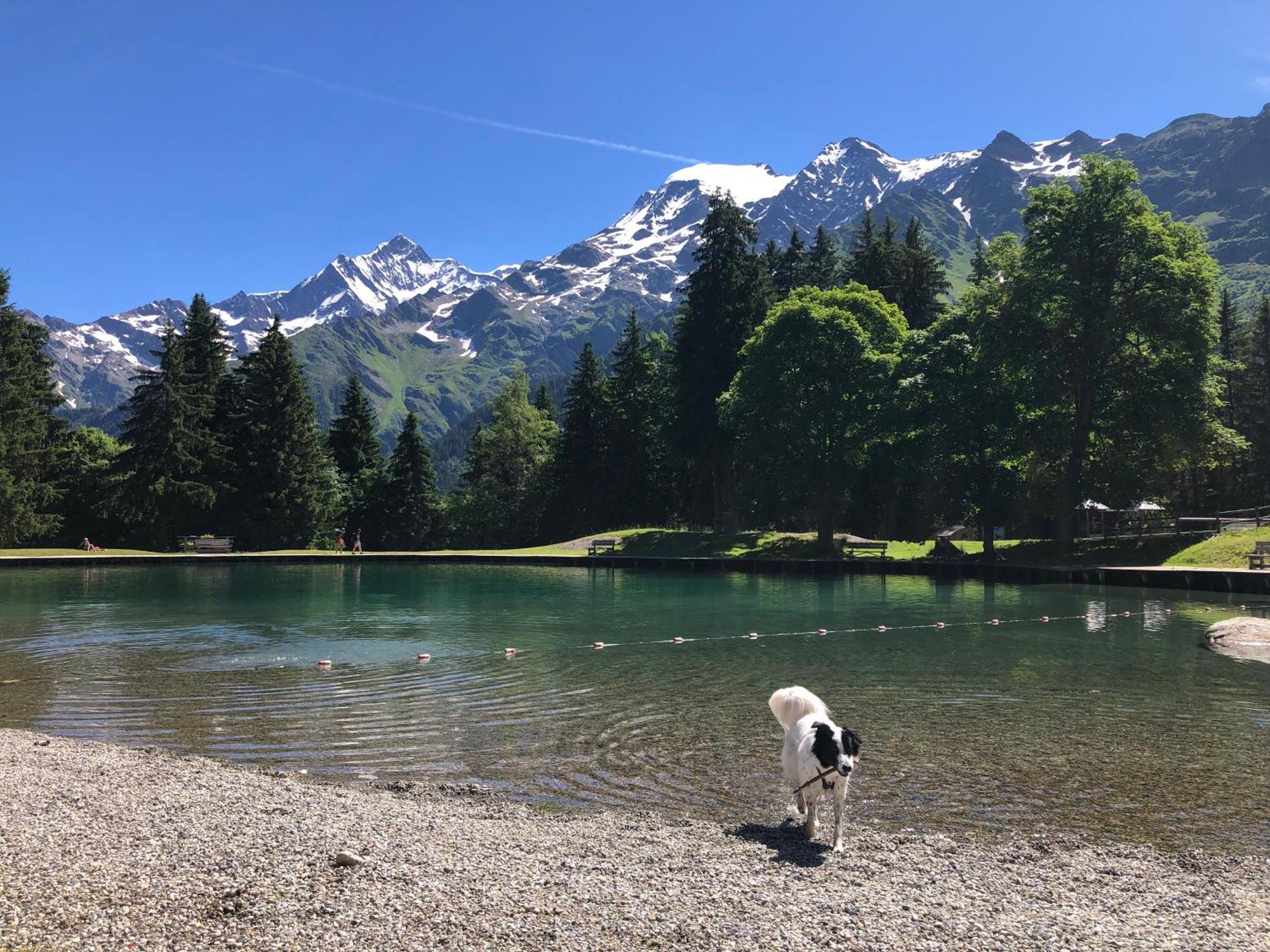 Chalet en pleine nature avec 2 appartements pour 6 ou 8 qui peuvent être réunis en 1 pour 14 personnes Saint-Gervais-les-Bains Exterior foto