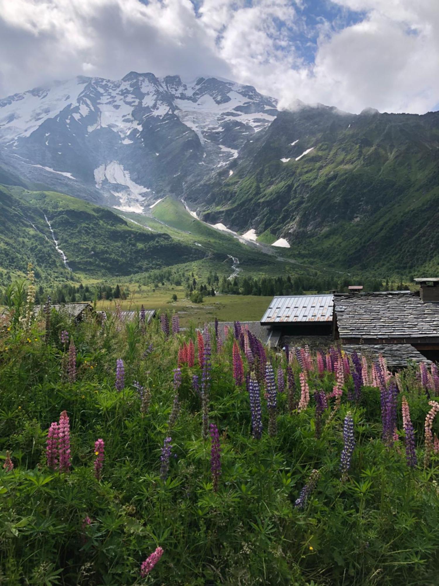 Chalet en pleine nature avec 2 appartements pour 6 ou 8 qui peuvent être réunis en 1 pour 14 personnes Saint-Gervais-les-Bains Exterior foto